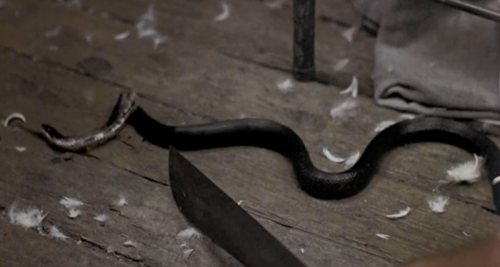 snake-kill